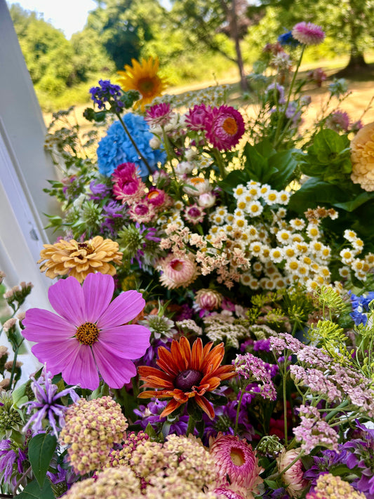 An assortment of brightly colored flowers of various shapes