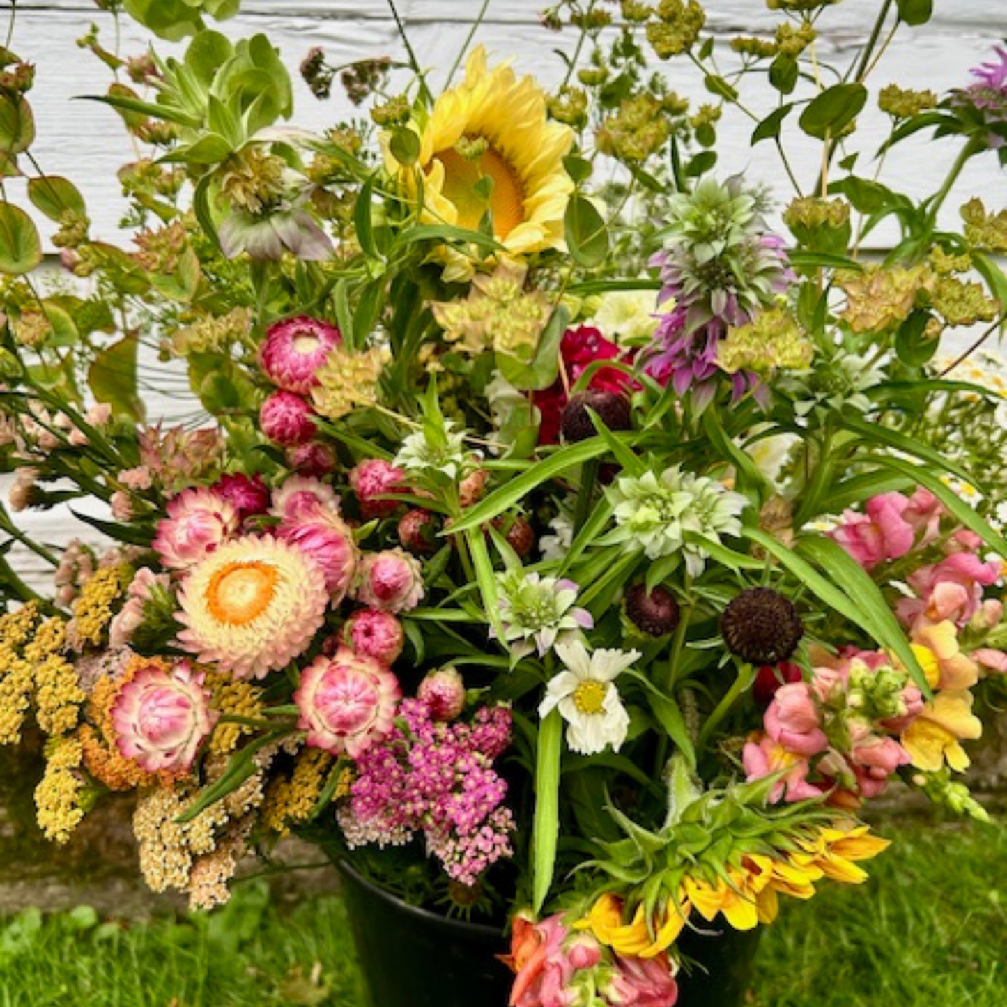 Bulk Flowers Bucket of Blooms