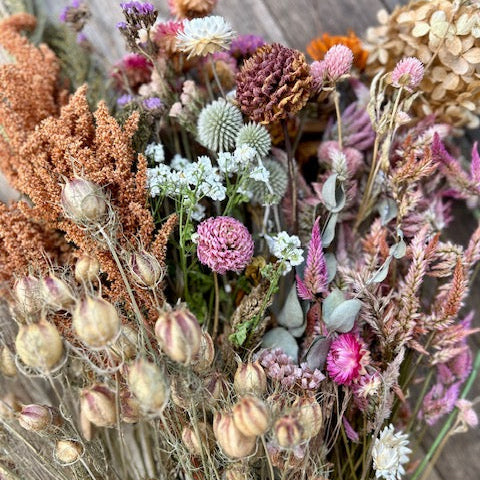 Dried flower stems in assorted colors