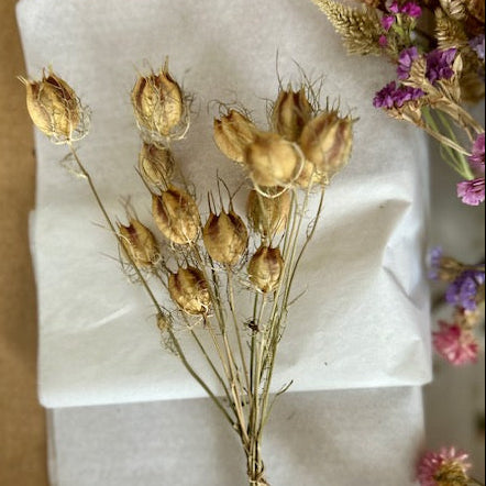 Dried nigella pods on a white surface with a brown background