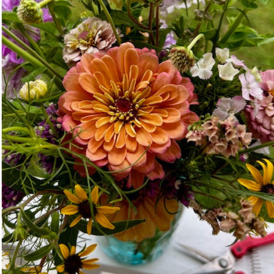 Bring on the Blooms! Early Summer 2025 Bouquet Subscription